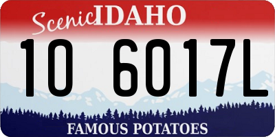ID license plate 1O6017L