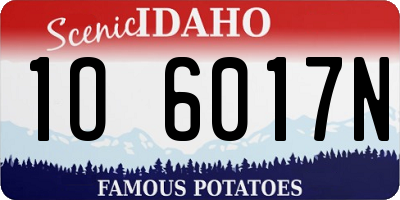 ID license plate 1O6017N
