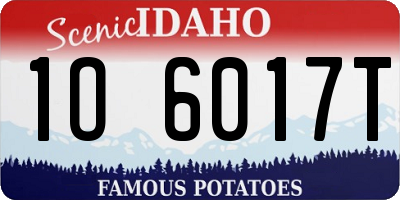 ID license plate 1O6017T