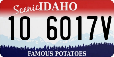 ID license plate 1O6017V
