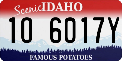 ID license plate 1O6017Y