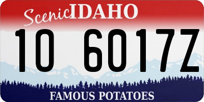 ID license plate 1O6017Z