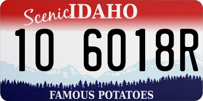 ID license plate 1O6018R