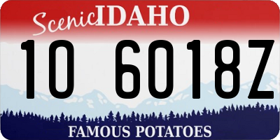ID license plate 1O6018Z