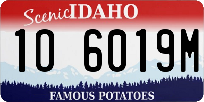 ID license plate 1O6019M