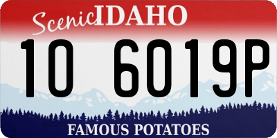 ID license plate 1O6019P