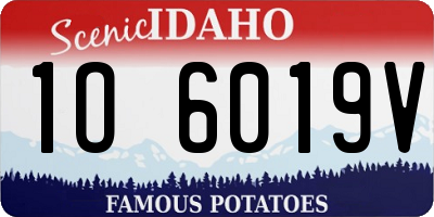 ID license plate 1O6019V