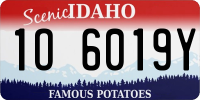 ID license plate 1O6019Y