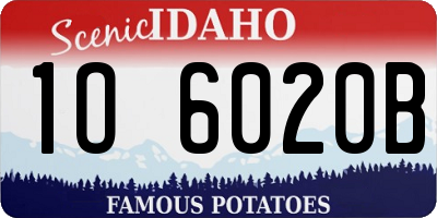 ID license plate 1O6020B