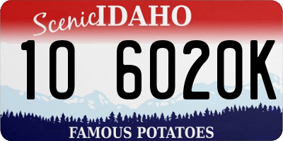 ID license plate 1O6020K