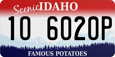ID license plate 1O6020P