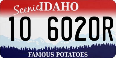 ID license plate 1O6020R