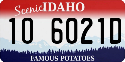 ID license plate 1O6021D