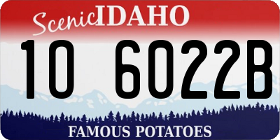 ID license plate 1O6022B