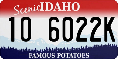 ID license plate 1O6022K