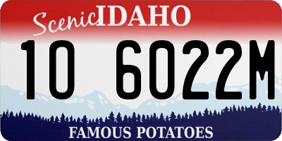ID license plate 1O6022M