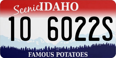 ID license plate 1O6022S