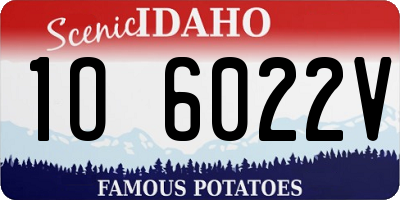ID license plate 1O6022V
