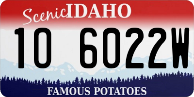 ID license plate 1O6022W