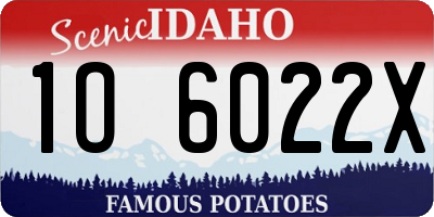 ID license plate 1O6022X