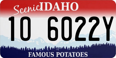 ID license plate 1O6022Y