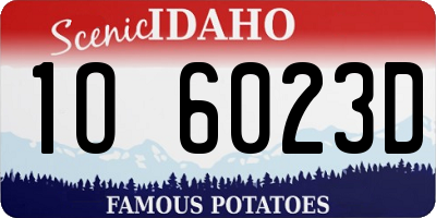 ID license plate 1O6023D