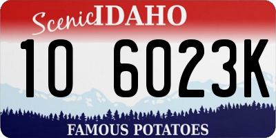 ID license plate 1O6023K