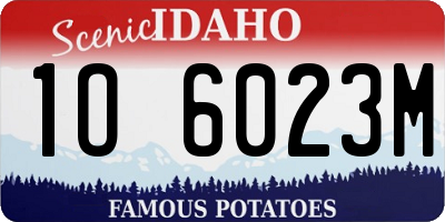 ID license plate 1O6023M