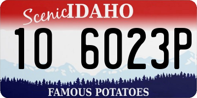 ID license plate 1O6023P