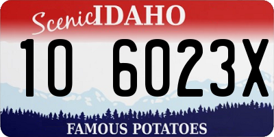 ID license plate 1O6023X
