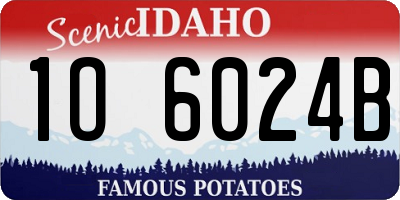 ID license plate 1O6024B