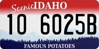 ID license plate 1O6025B