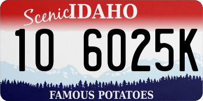 ID license plate 1O6025K