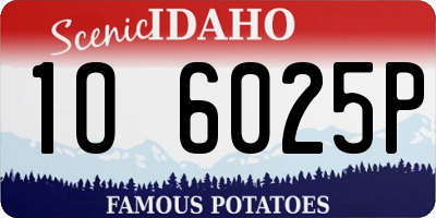 ID license plate 1O6025P