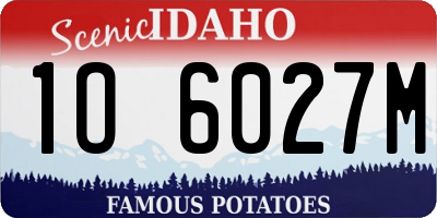 ID license plate 1O6027M