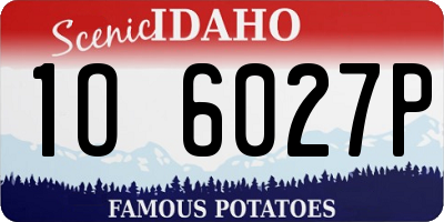 ID license plate 1O6027P