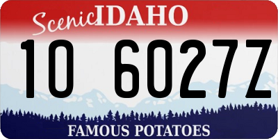 ID license plate 1O6027Z