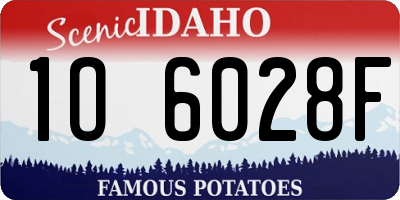 ID license plate 1O6028F