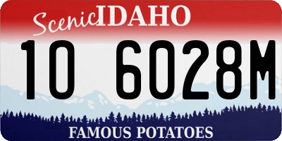 ID license plate 1O6028M