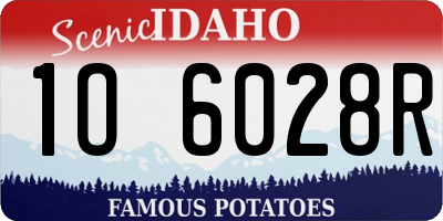 ID license plate 1O6028R