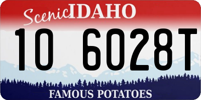 ID license plate 1O6028T