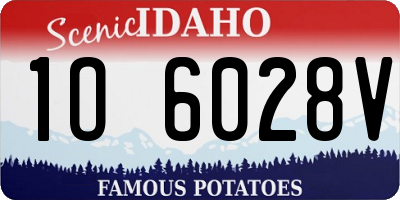 ID license plate 1O6028V