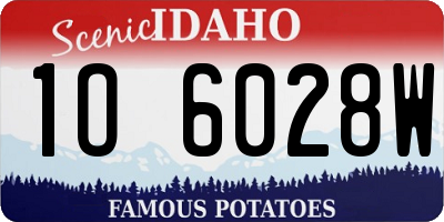 ID license plate 1O6028W