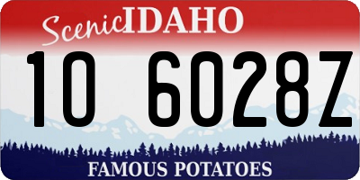 ID license plate 1O6028Z