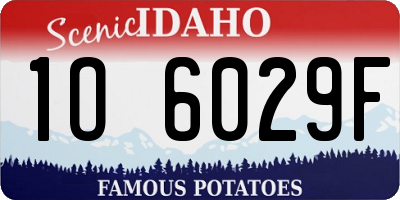 ID license plate 1O6029F