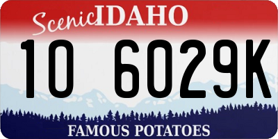 ID license plate 1O6029K