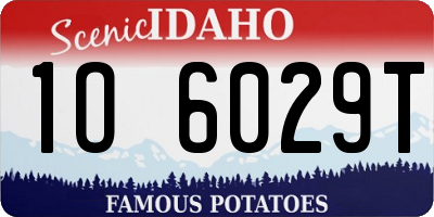 ID license plate 1O6029T