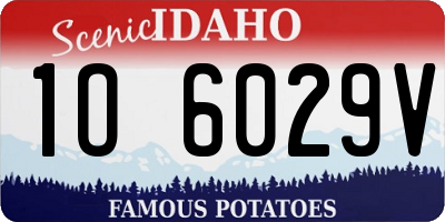 ID license plate 1O6029V
