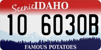 ID license plate 1O6030B