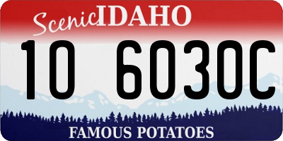 ID license plate 1O6030C